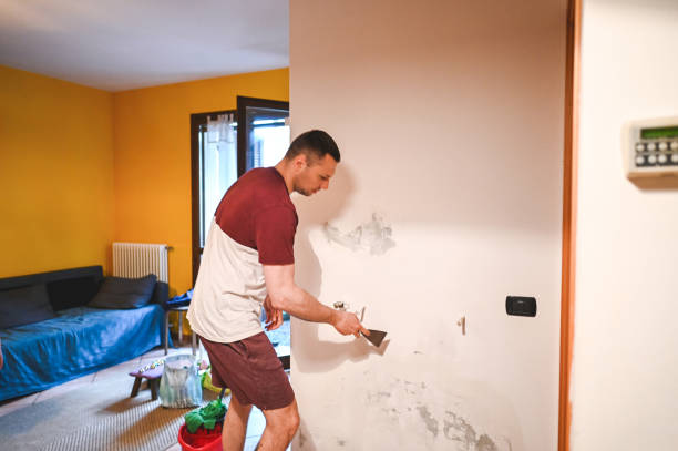 Best Mold Damage Repair  in Rose Valley, PA